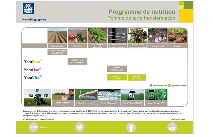 Programme de nutrition pomme de terre transformation