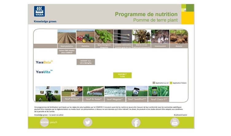 Programme de nutrition pomme de terre plant
