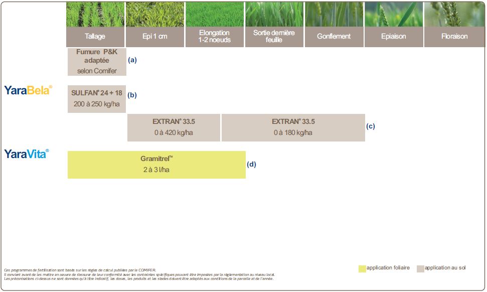 Programme de nutrition du blé panifiable
