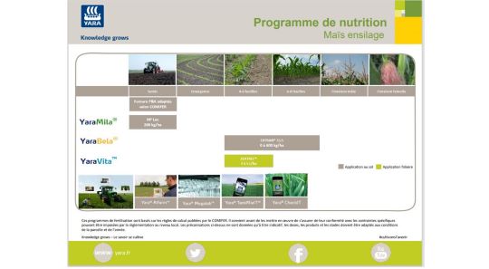 Programme de nutrition du maïs ensilage