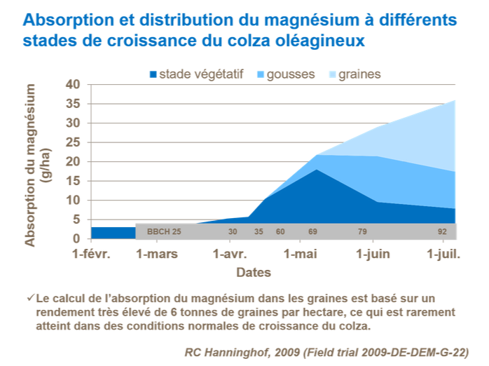 Suivi des Colzas 2020 - Page 17 Fr-absorption-et-distribution-du-magnesium-a-differents-stades-d