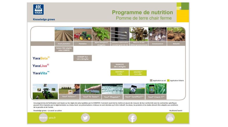 Programme de nutrition pomme de terre chair ferme