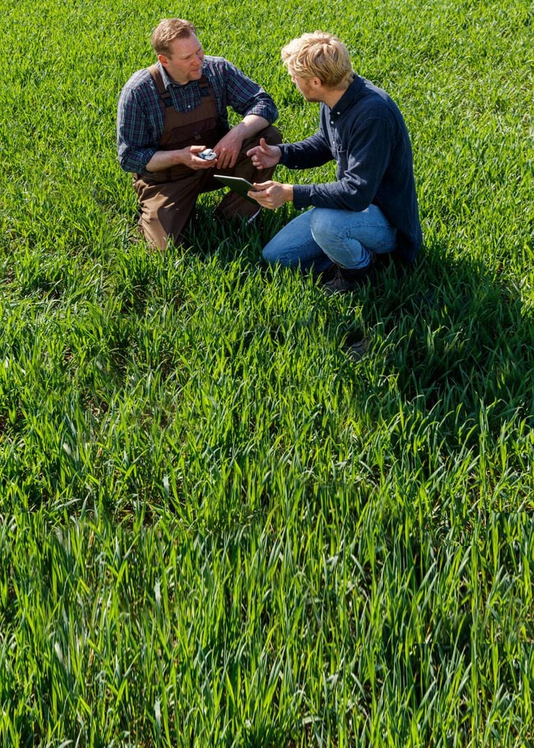 Farmers in wheat field looking at Atfarm