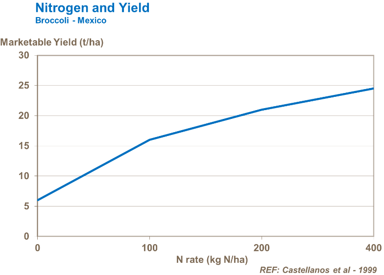 Azote et rendement - Brocoli