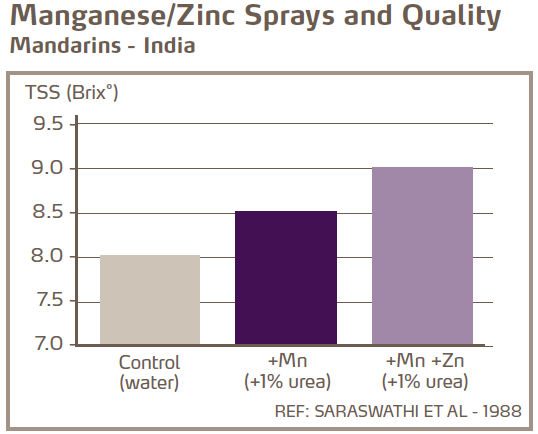 Pulvérisations de manganèse / zinc et qualité - Mandarines