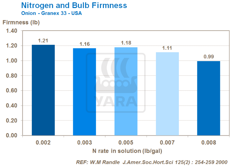 Azote et fermeté des bulbes 