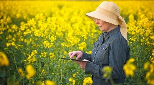 Une agricultrice dans un champ de colza