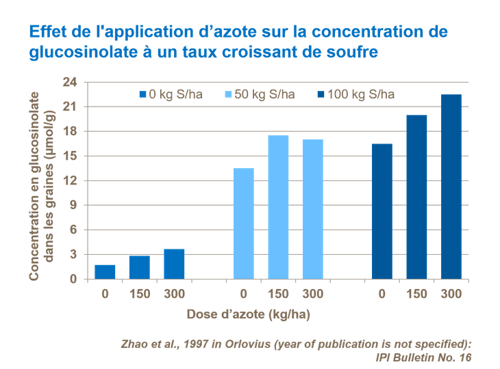 Graphique sur l'effet de l'application d’azote sur la concentration de glucosinolate à un taux croissant de soufre