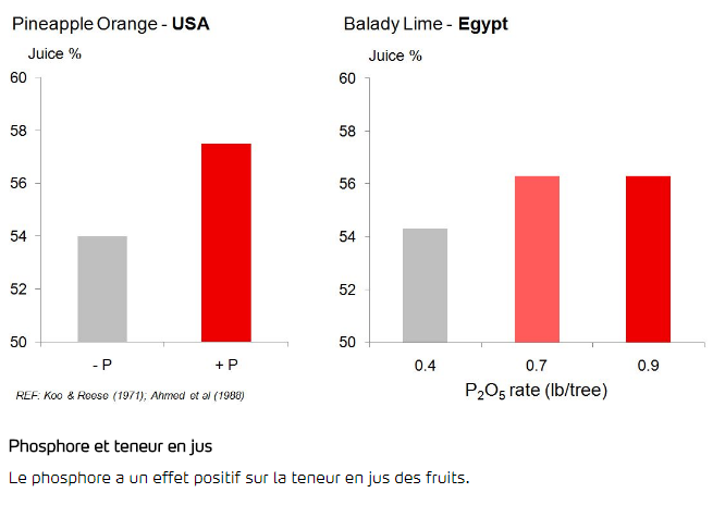 Phosphore et teneur en jus - Oranges 
