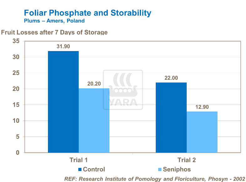 phosphate foliaire et capacité de stockage