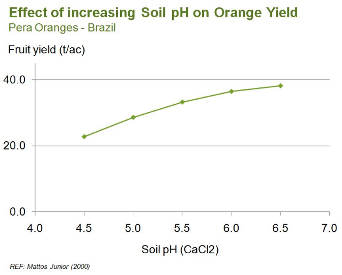 Effet de l'augmentation du pH du sol sur le rendement en orange