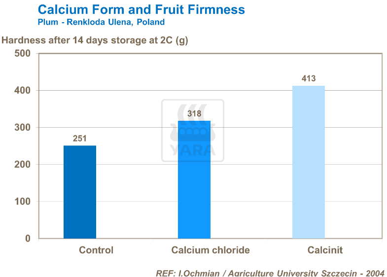 Forme de calcium et fermeté des fruits - Prunes