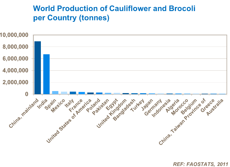 Production mondiale de chou-fleur et de brocoli par pays - 2011