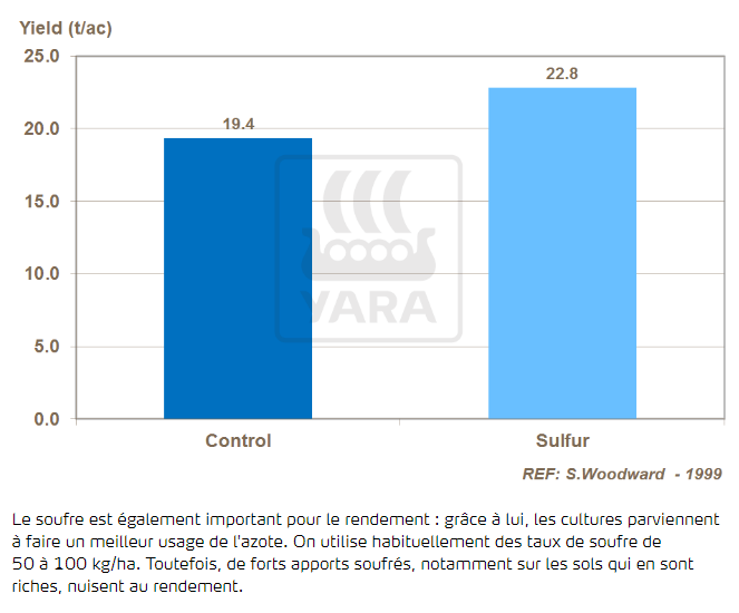Soufre et rendement 