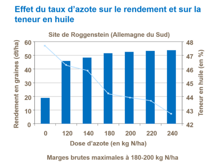 Graphique sur les effets de l’azote sur les concentrations en protéines et en huile