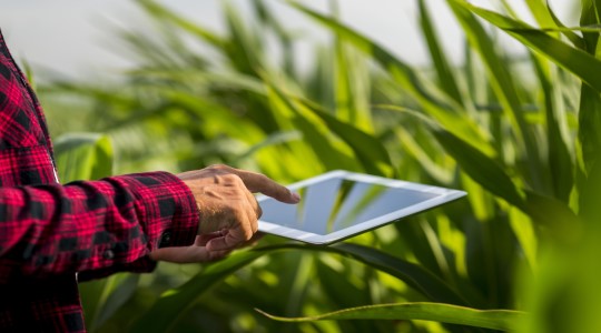 agronomie développement tablette yara france