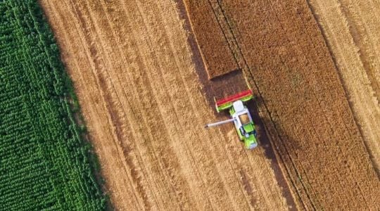 Une moissonneuse dans un champ de blé