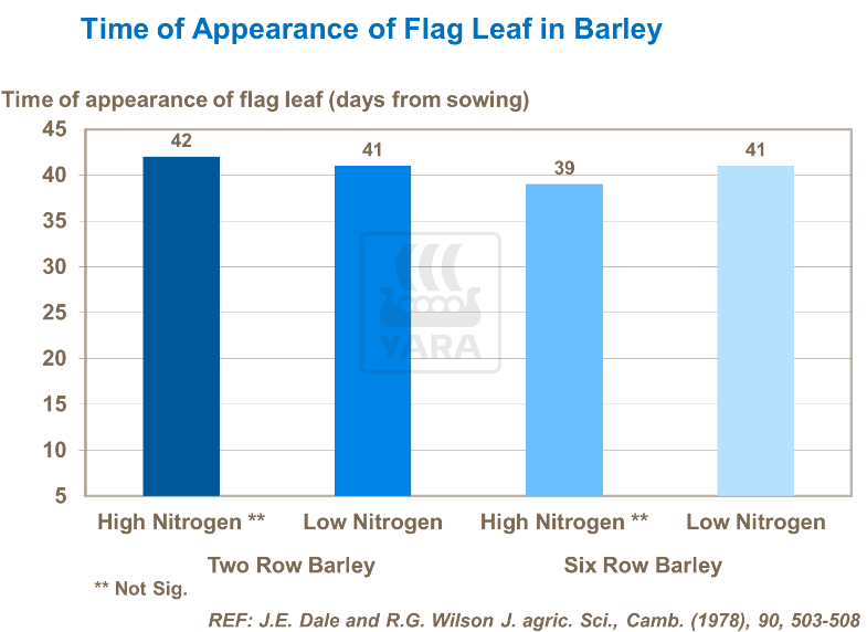 Temps d'apparition de feuille étendard orge