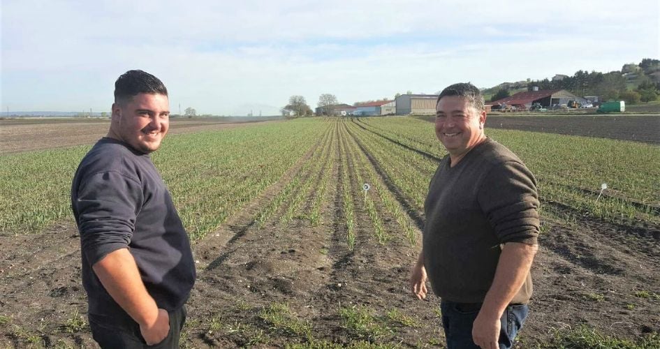 Deux agriculteurs devant leur culture d'oignon