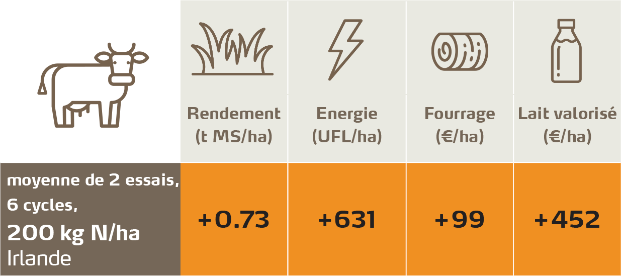 rendemant avec apport de soufre