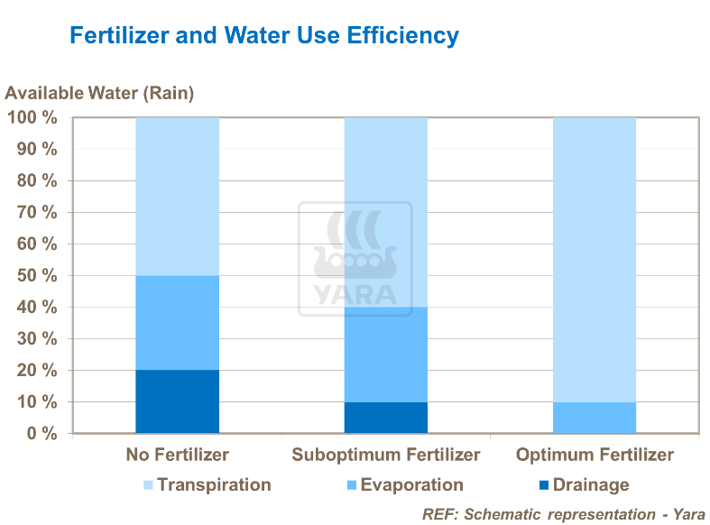 Fertilisant et efficacité utilisation de l'eau