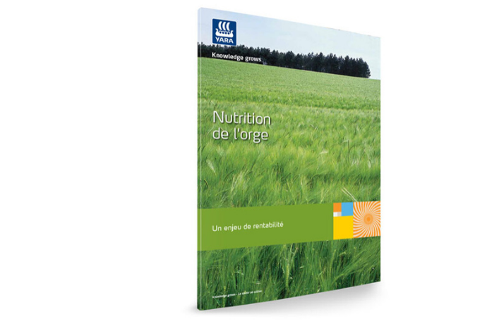 Livre blanc sur la nutrition de l'orge