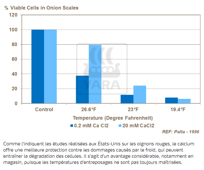 Calcium et altérations dues au froid 