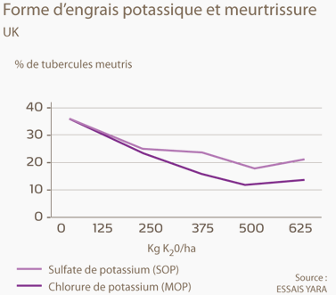 forme d'engrais potassique et meurtrissure