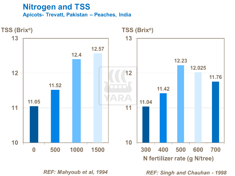 Azote et SST - Abricots