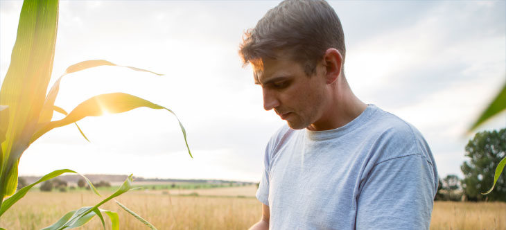 Un agriculteur dans son champ