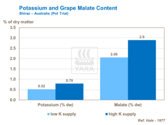 Graphique sur potassium et teneur en malate