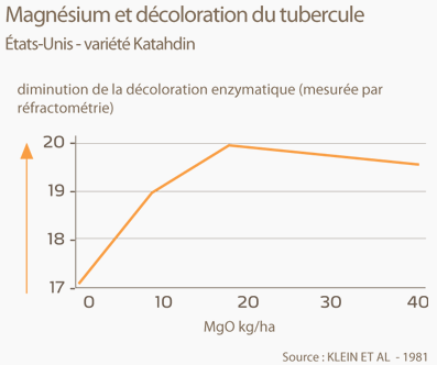 magnésium et décoloration du tubercule