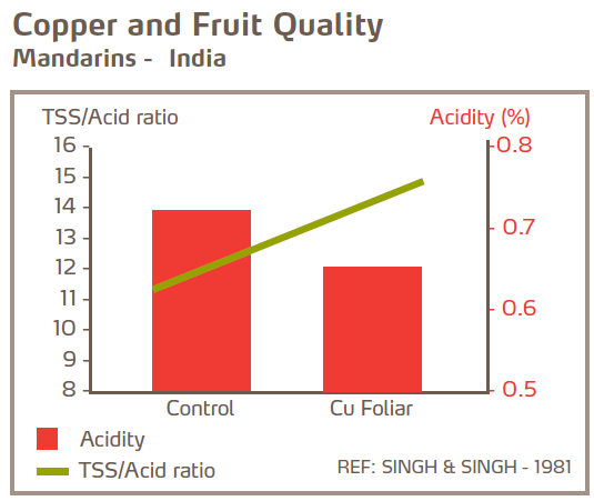 Cuivre et qualité des fruits - Mandarines