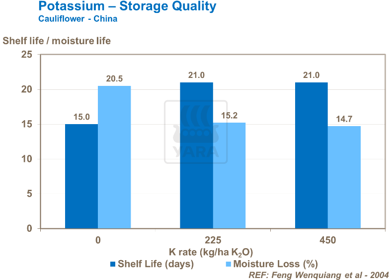 Potassium - Qualité de stockage- Chou-fleur