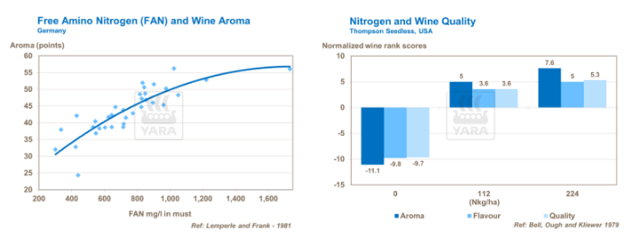Graphique sur liens entre azote et qualité du vin