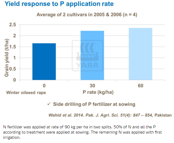 Effet sur rendement d'application de phosphate