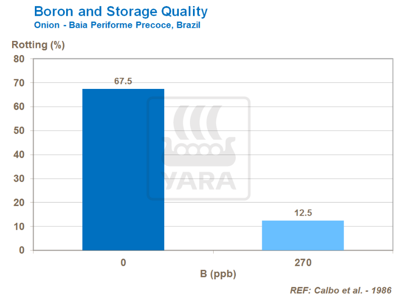 Bore et qualité de stockage