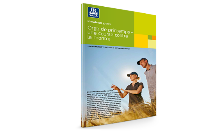 Livre blanc sur l'orge de printemps, une course contre la montre