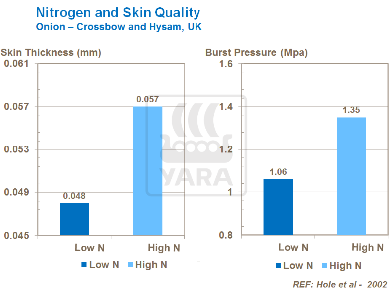 Azote et qualité de la peau