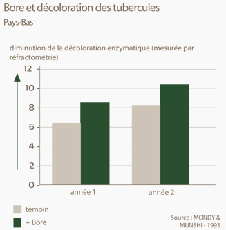 Bore et décoloration des tubercules