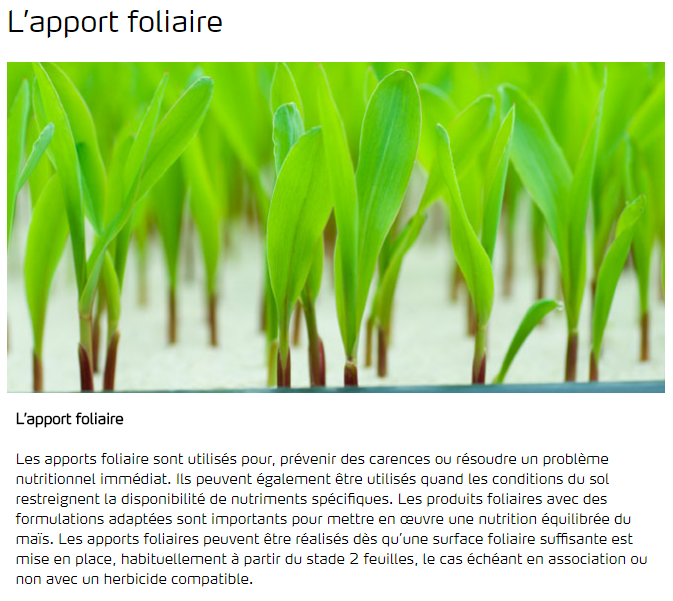 L'apport foliaire