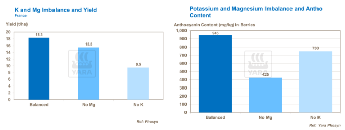 Calcium et magnésium déséquilibre et rendement