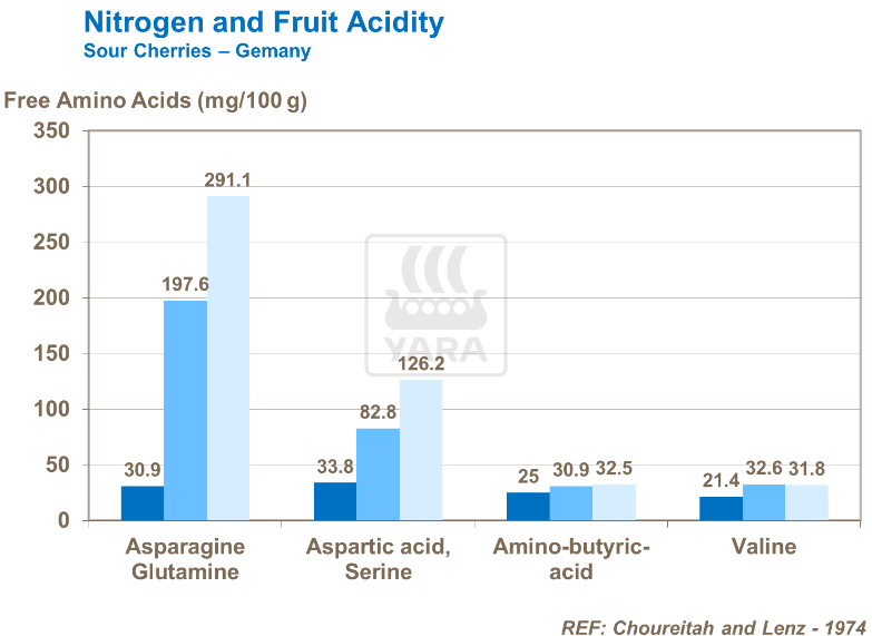 Azote et acidité des fruits - Cerises 