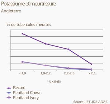 potassium et meurtrissure