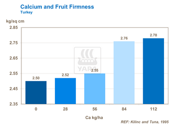 Graphique lien entre calcium et fermeté tomates