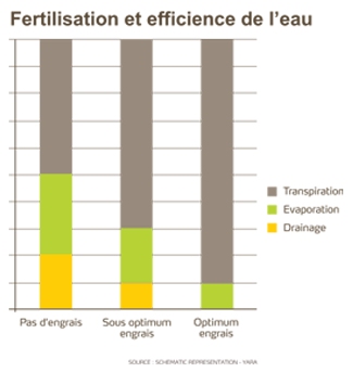Fertilisation et efficience de l'eau