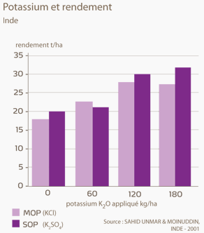 potassium et rendement 2