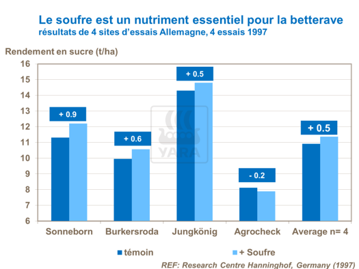 Graphique sur le souffre, nutriment essentiel pour la betterave