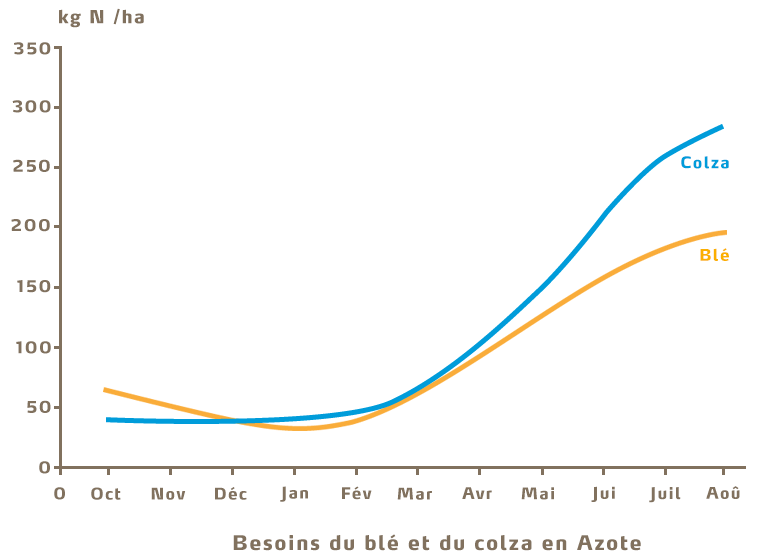 Besoins du blé et du colza en azote
