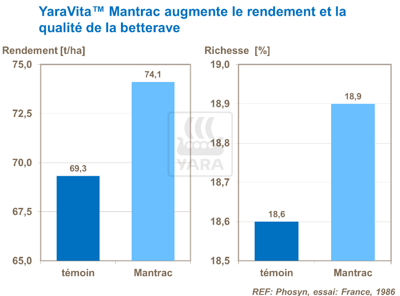 YaraVita Mantrac améliore le rendement et qualité